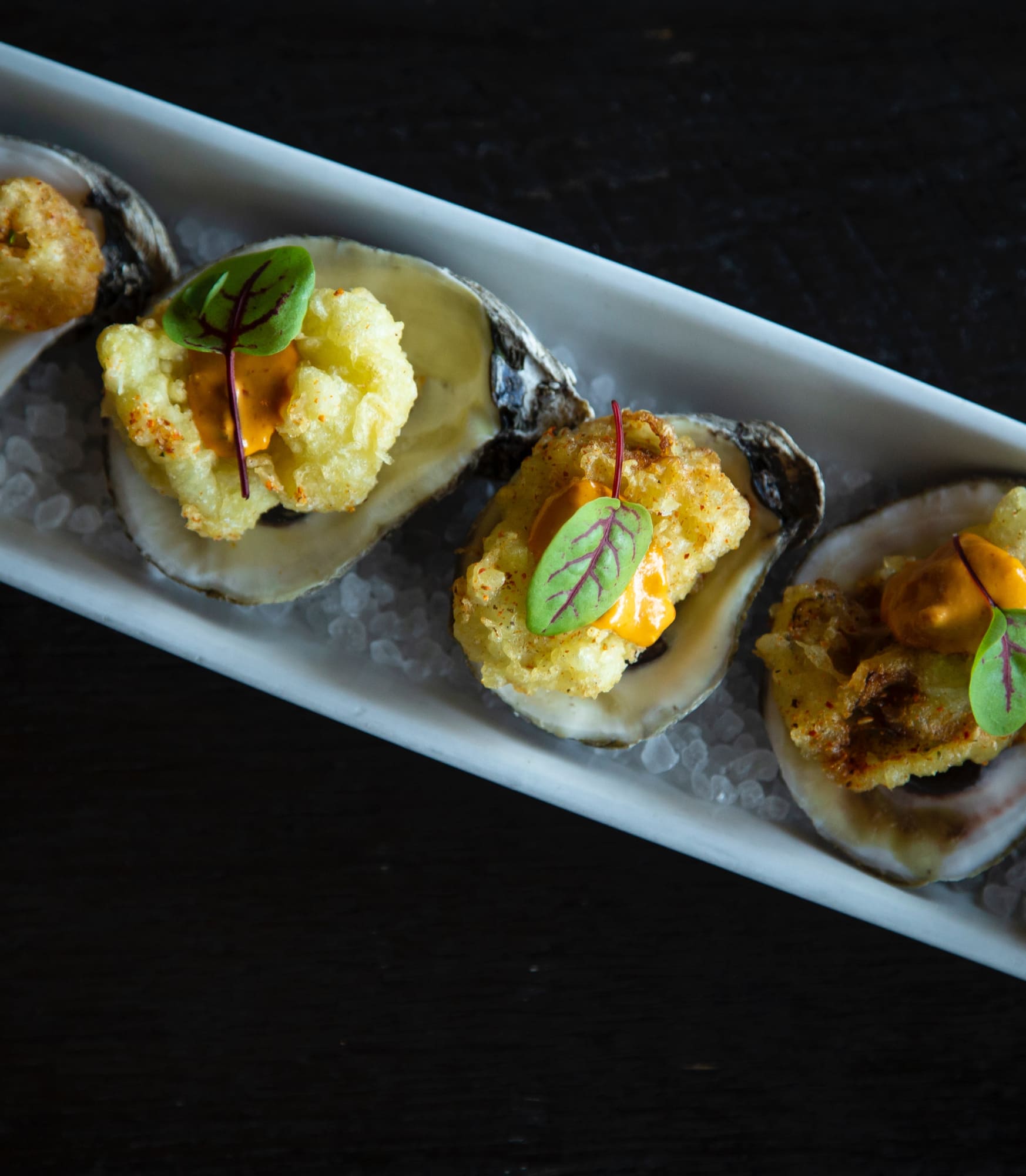 Oysters Oysters